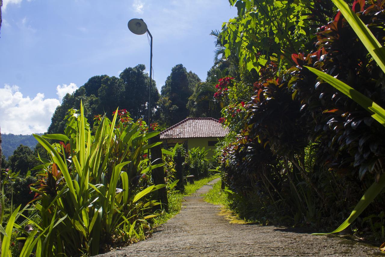 Aryautama Garden Villa Munduk Eksteriør billede