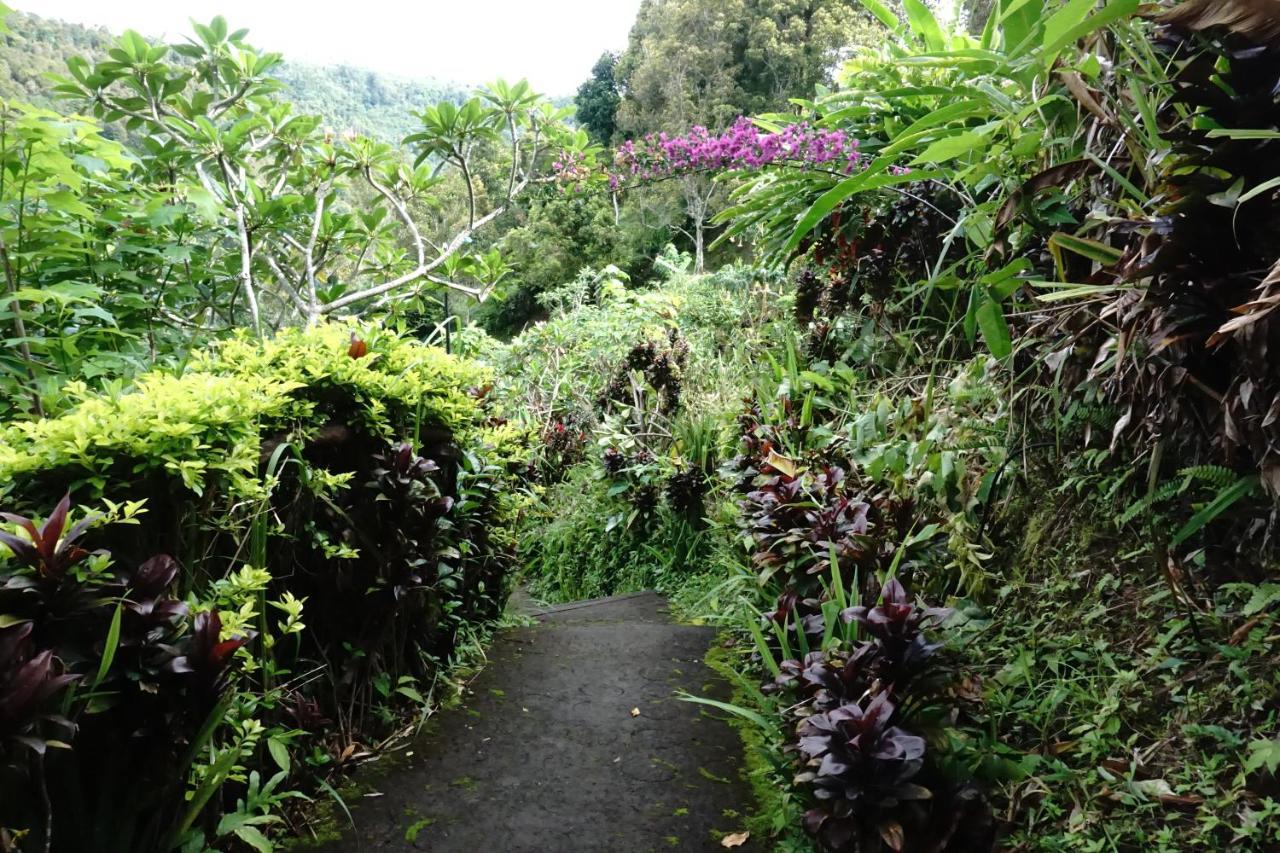 Aryautama Garden Villa Munduk Eksteriør billede